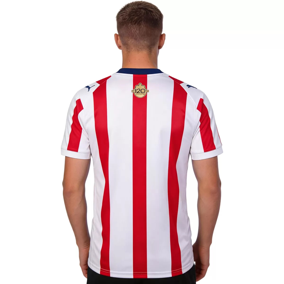 Chivas 120th Anniversary Kit Jersey 2026 - Fan Version